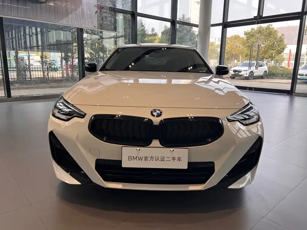 BMW 2 Series (Import) — фото 8