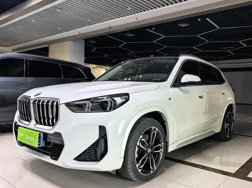 BMW X1 — фото 1