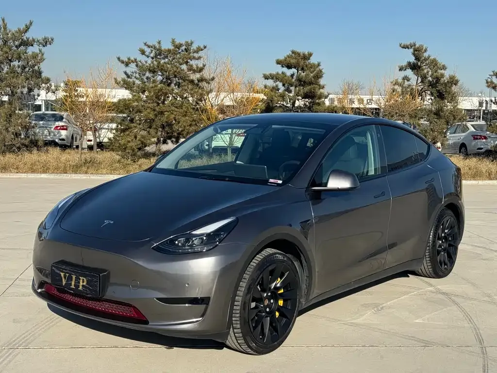 Tesla Model Y — фото 1