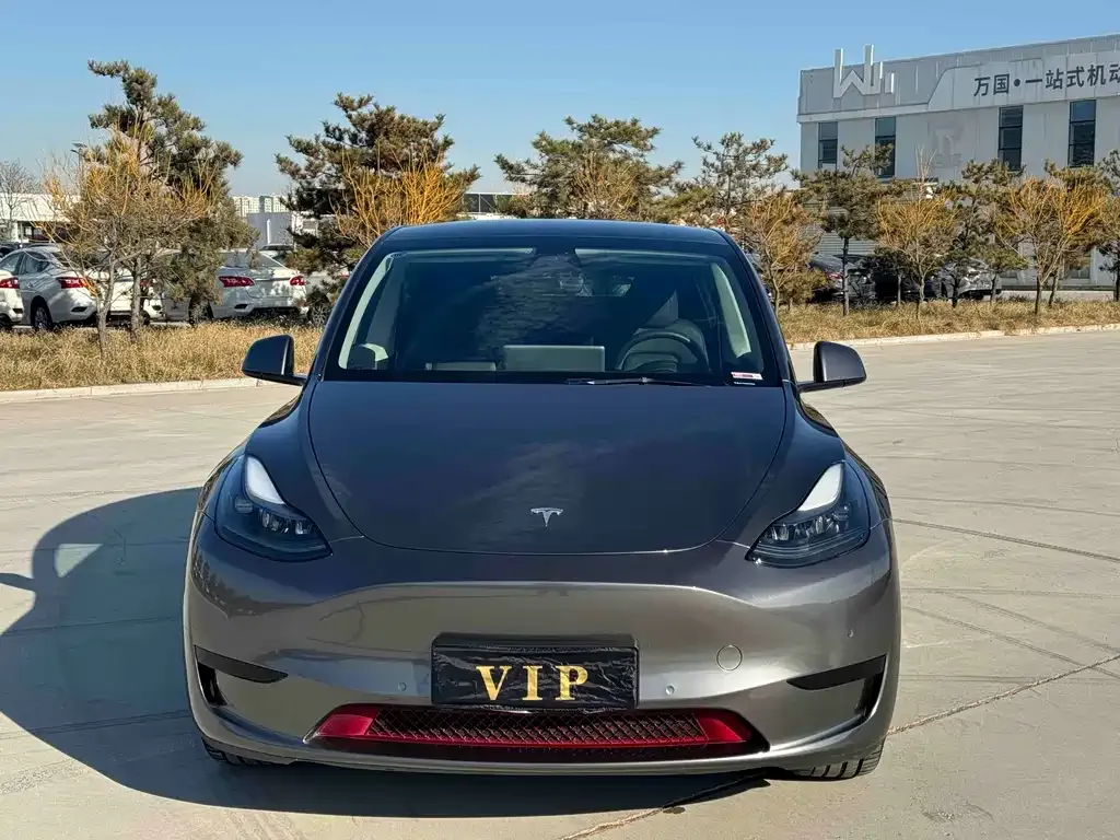 Tesla Model Y — фото 2