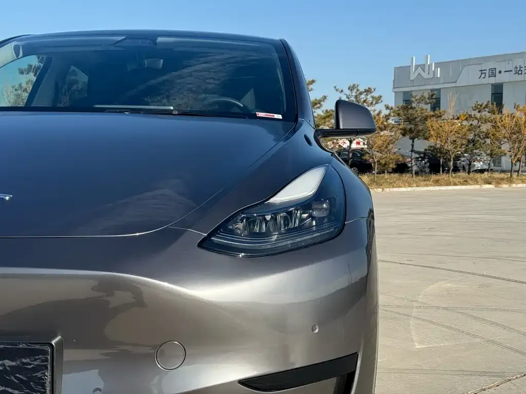 Tesla Model Y — фото 5