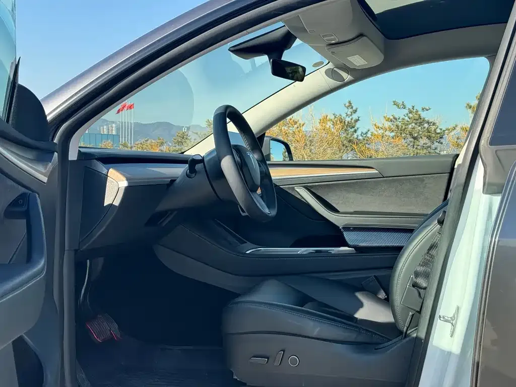 Tesla Model Y — фото 6