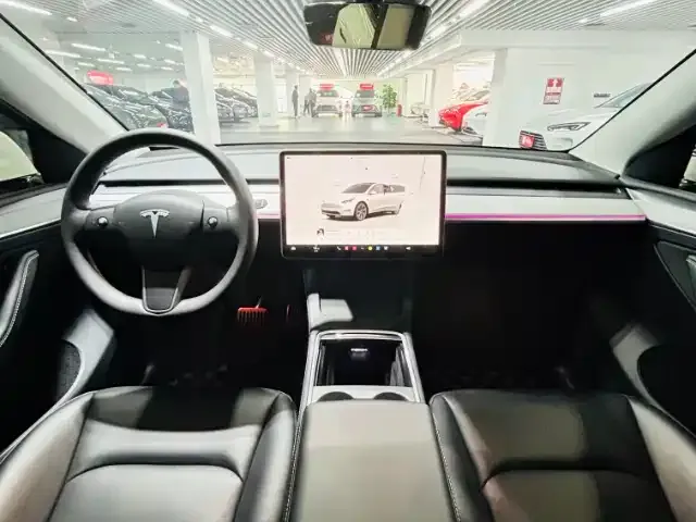 Tesla Model Y 2024 из CN, фото 9