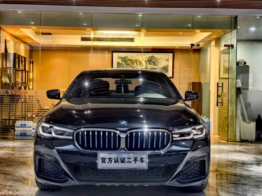 BMW 5 Series — фото 2