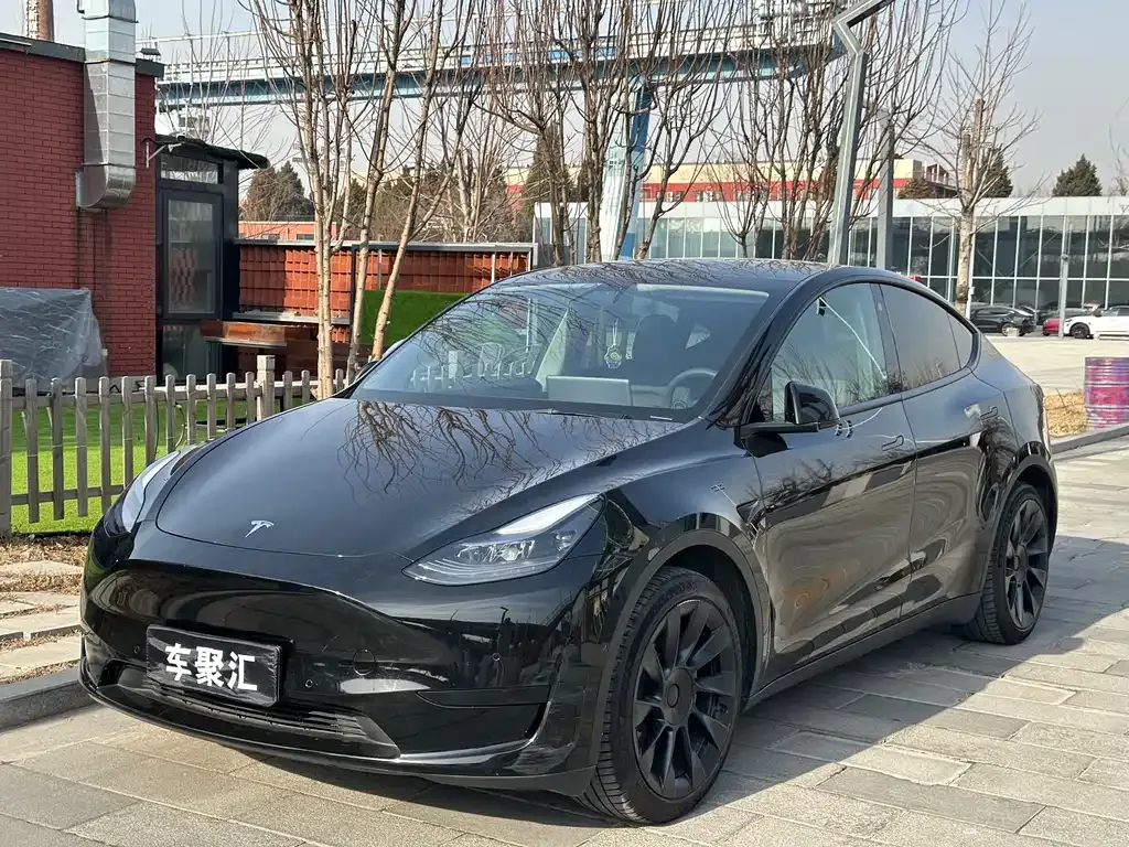 Tesla Model Y — фото 1