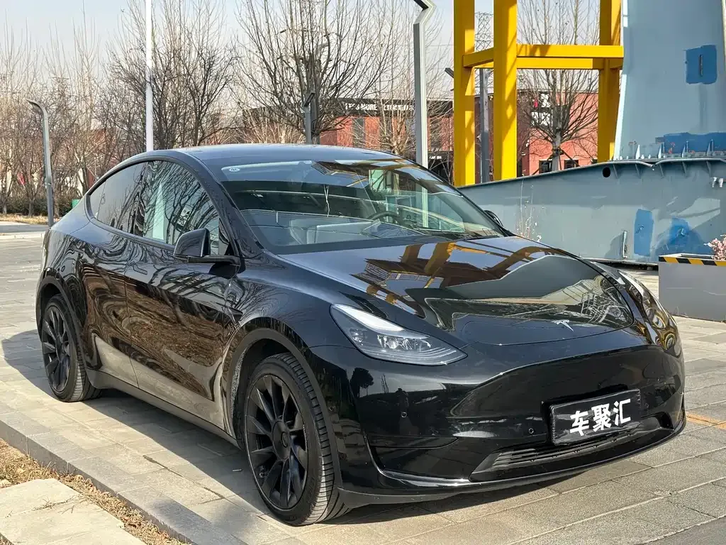 Tesla Model Y — фото 8