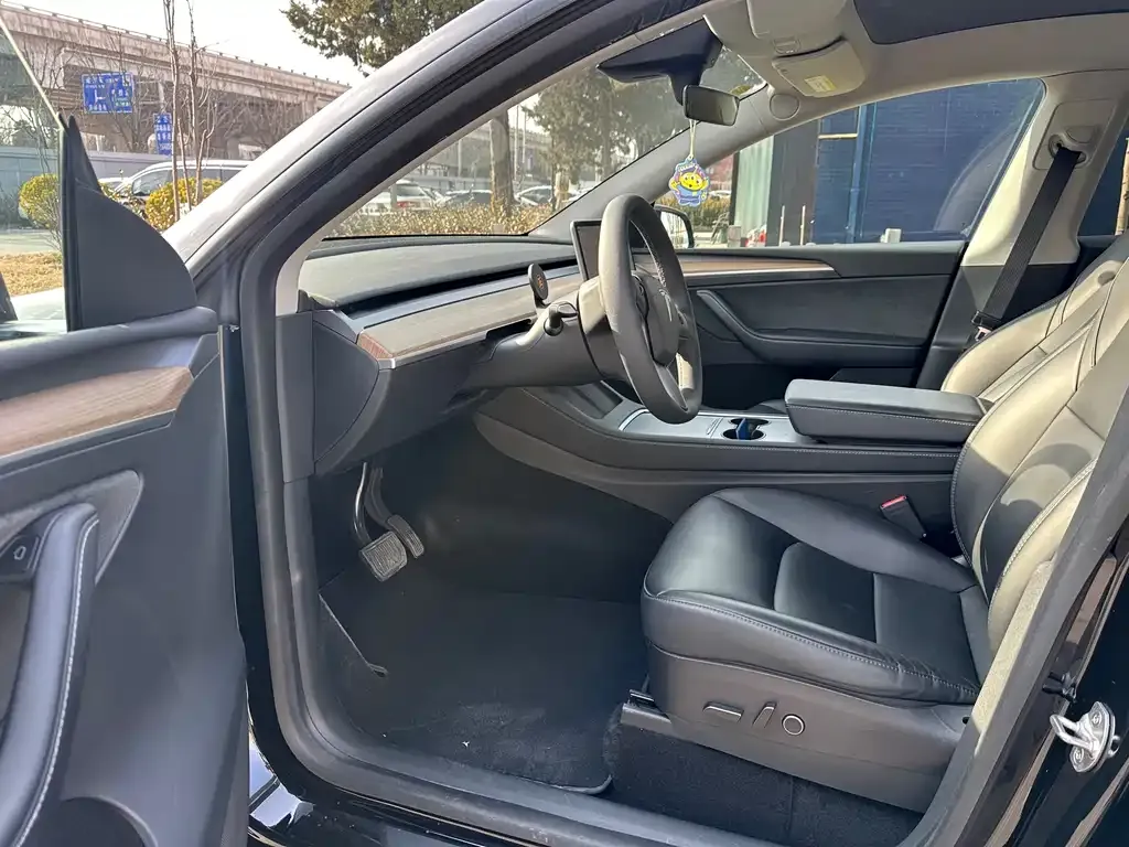 Tesla Model Y — фото 10
