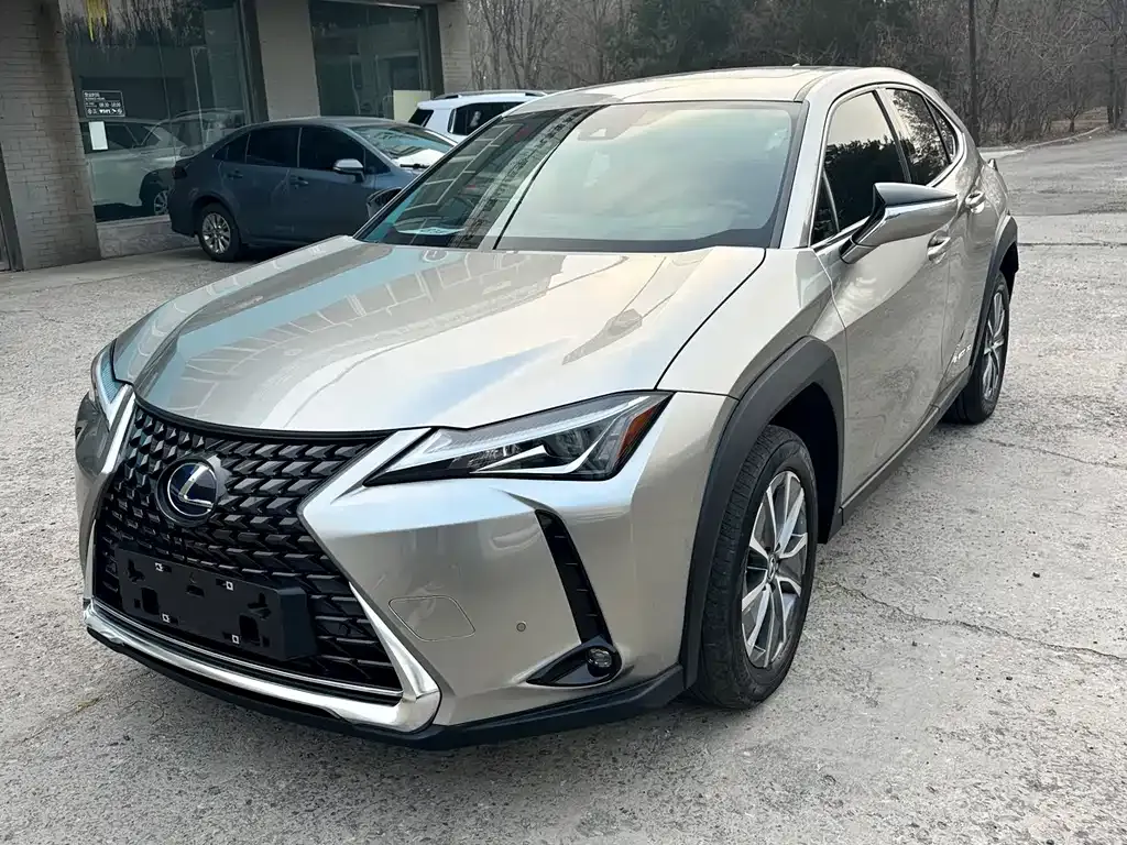 Lexus UX New Energy 2022 из CN, фото 1