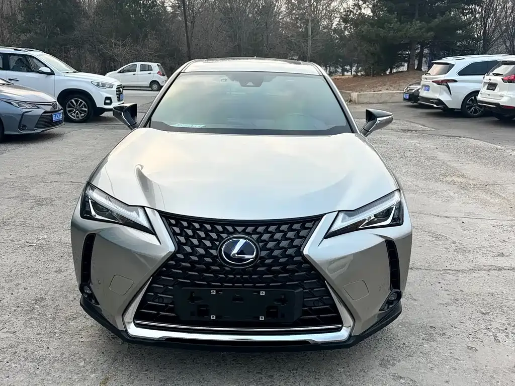 Lexus UX New Energy 2022 из CN, фото 8