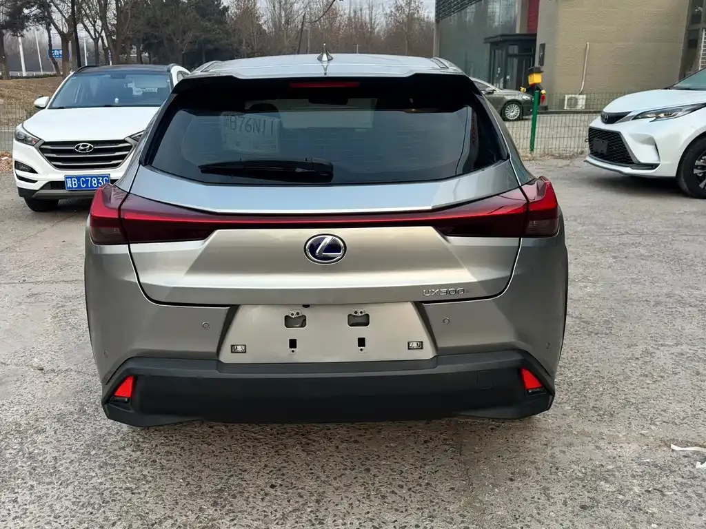 Lexus UX New Energy 2022 из CN, фото 6