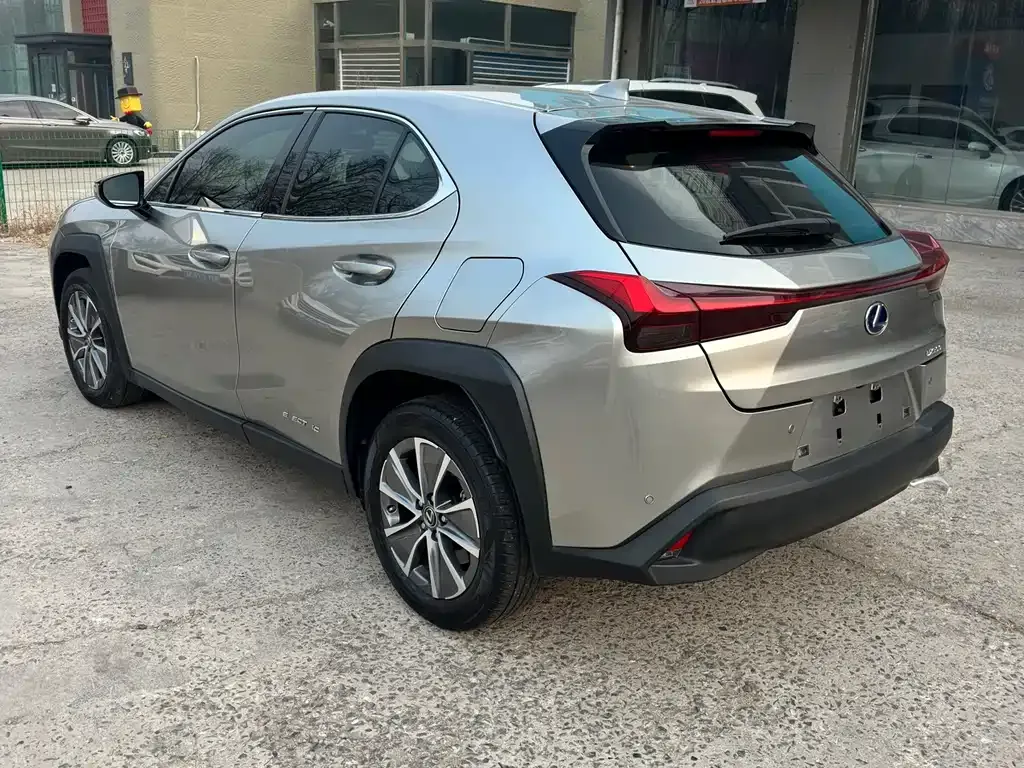 Lexus UX New Energy 2022 из CN, фото 5