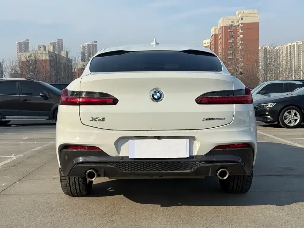 BMW X4 2021 из CN, фото 9