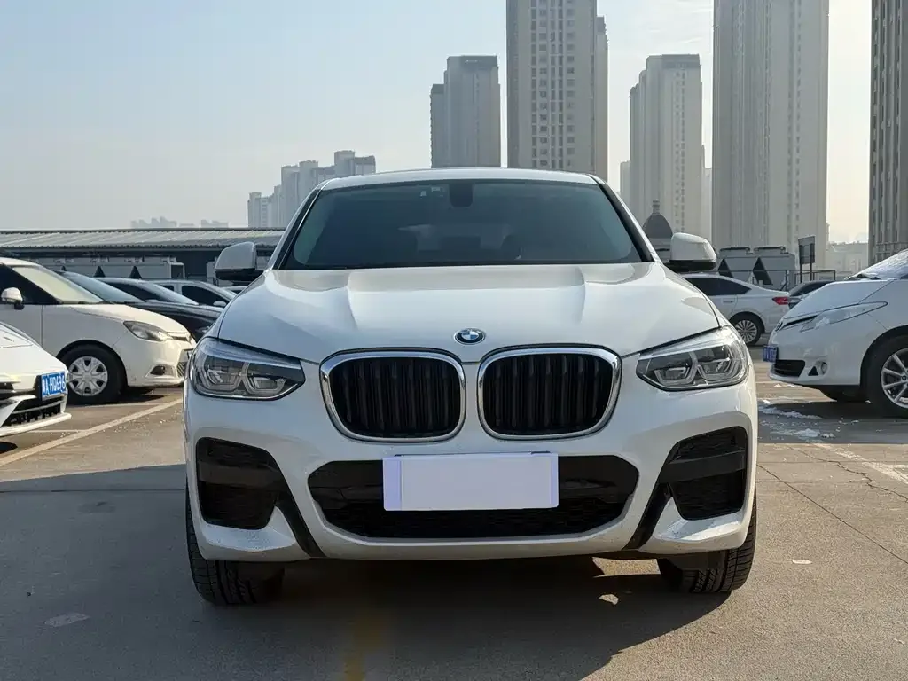 BMW X4 2021 из CN, фото 2