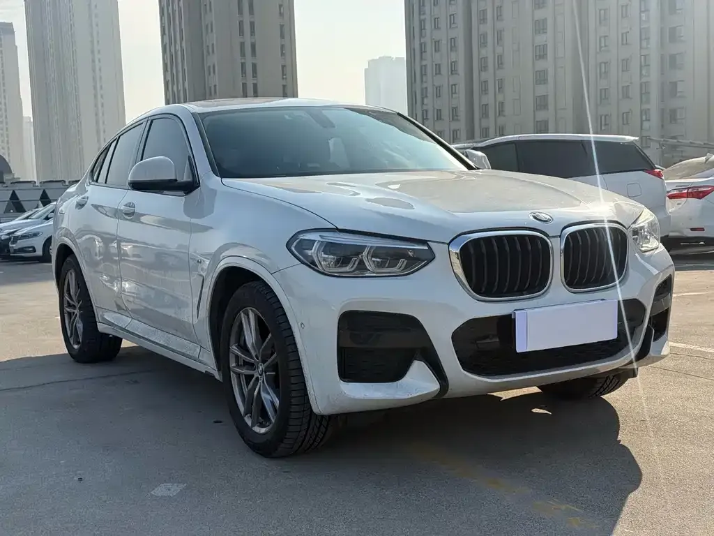 BMW X4 2021 из CN, фото 4