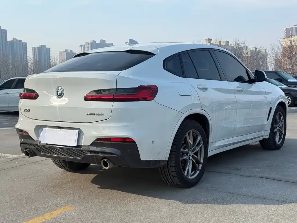 BMW X4 2021 из CN, фото 7