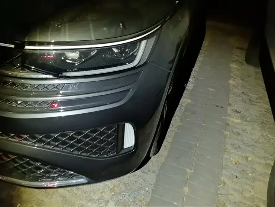 Volkswagen Tavendor 2023 из CN, фото 5