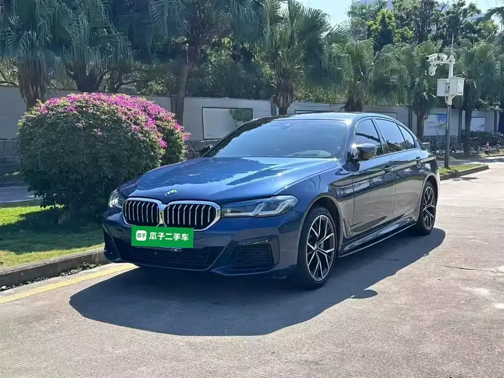BMW 5 Series 2021 из CN, фото 1