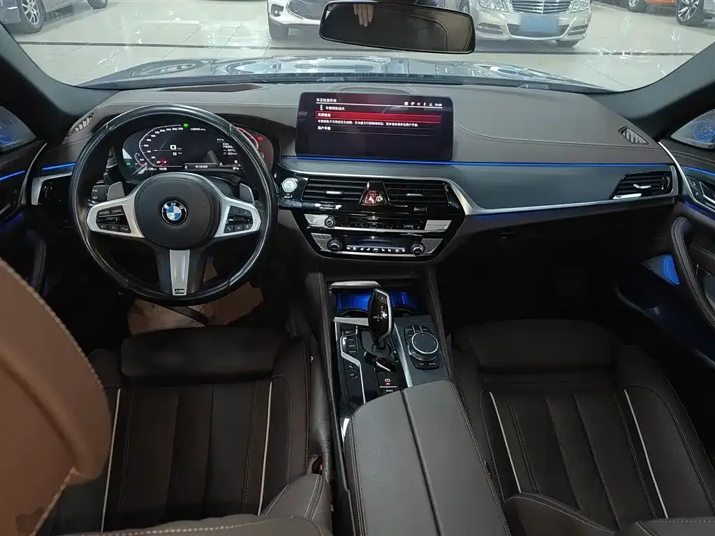 BMW 5 Series 2021 из CN, фото 6