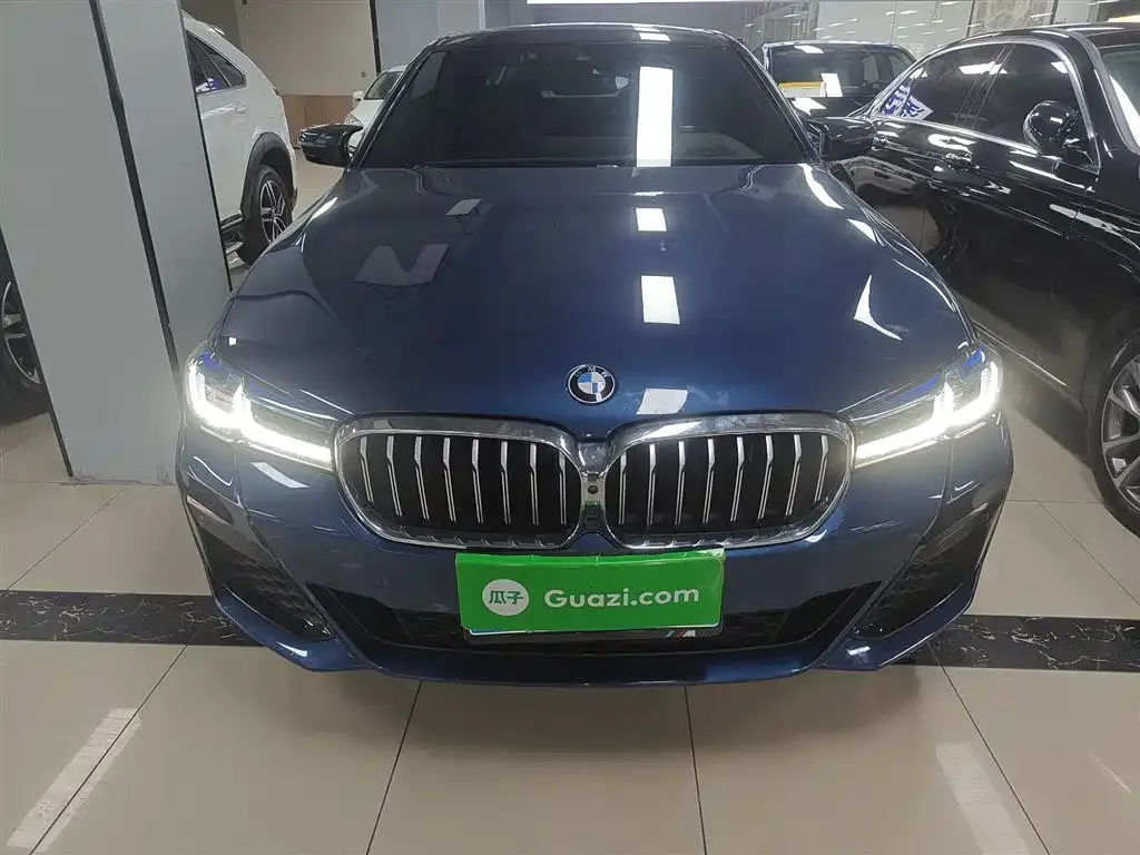 BMW 5 Series 2021 из CN, фото 10