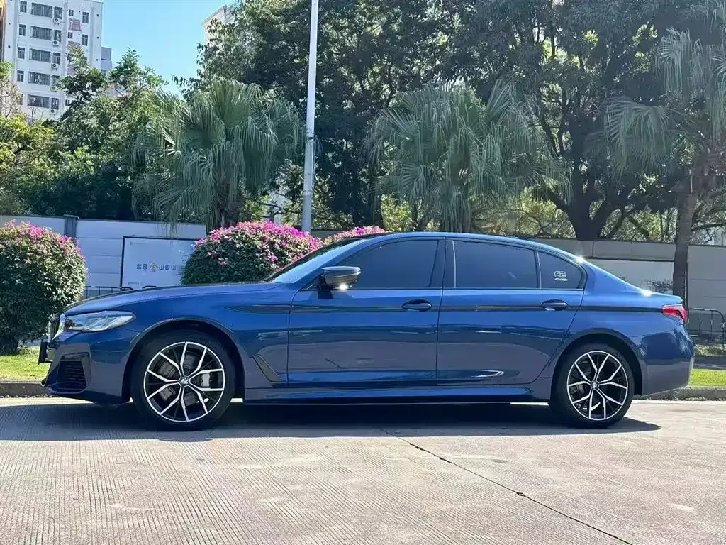 BMW 5 Series 2021 из CN, фото 7