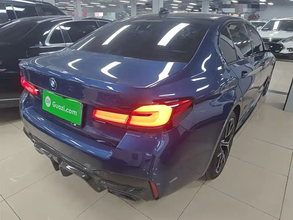 BMW 5 Series 2021 из CN, фото 9