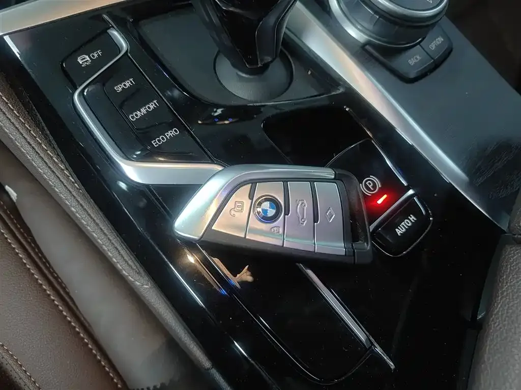 BMW 5 Series 2021 из CN, фото 3
