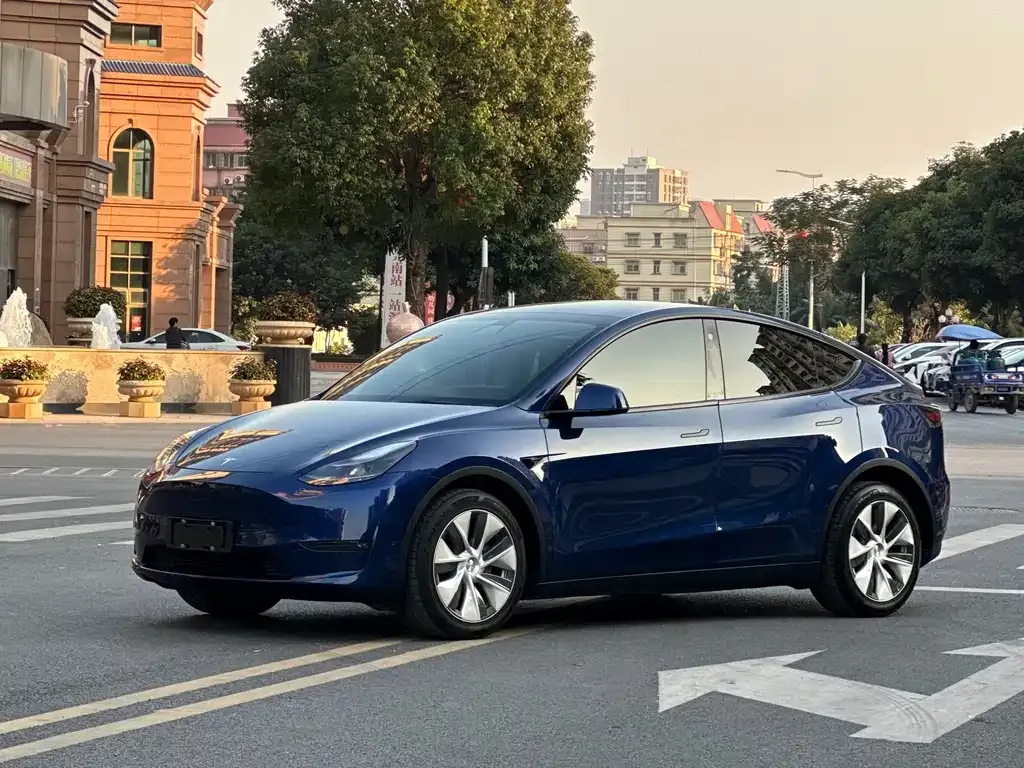 Tesla Model Y — фото 1