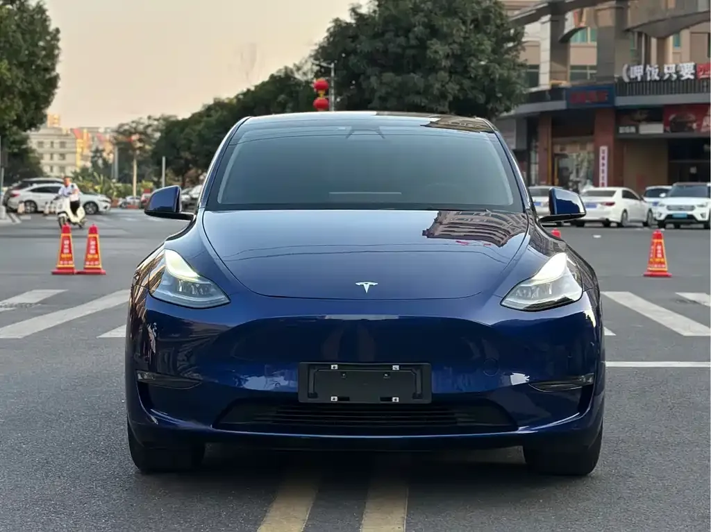 Tesla Model Y — фото 3