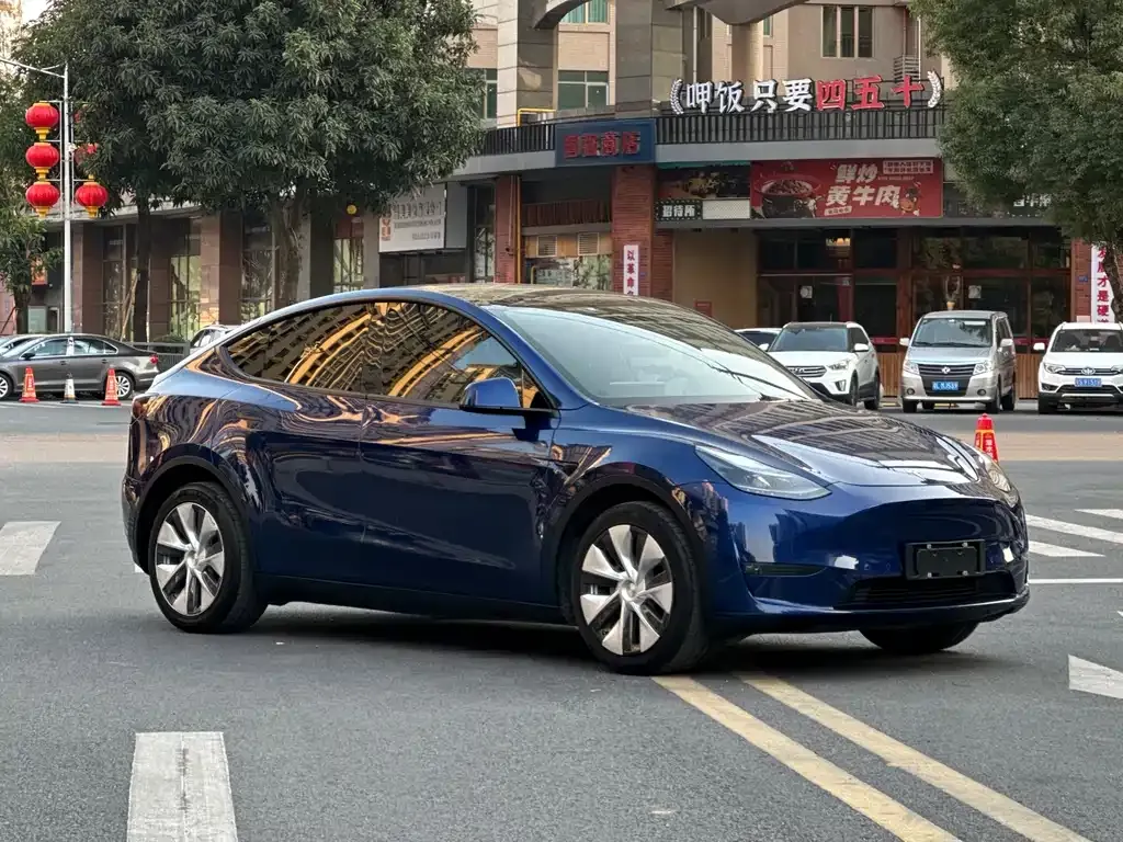 Tesla Model Y — фото 6