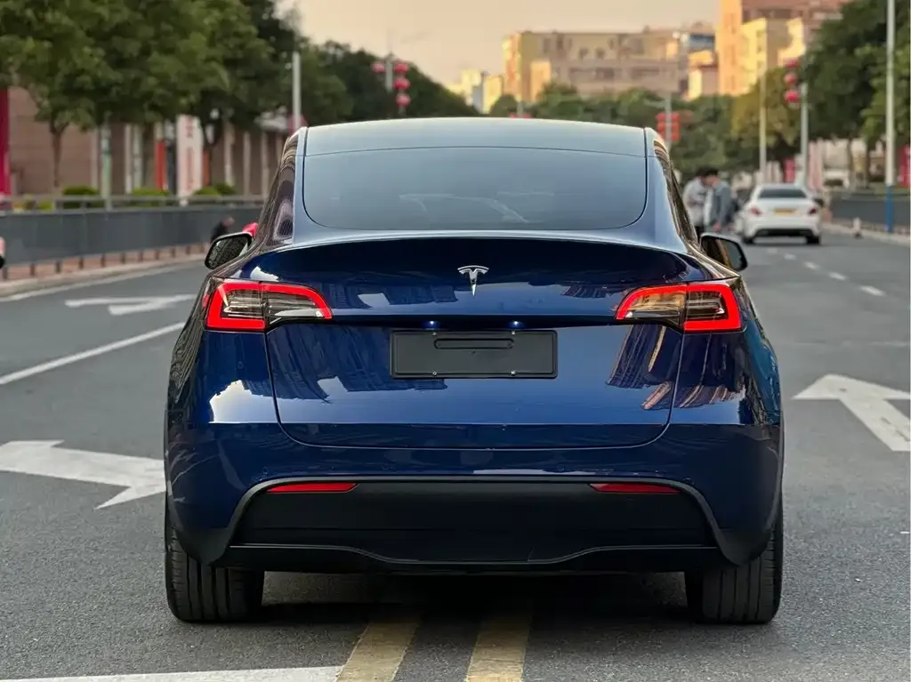 Tesla Model Y — фото 5