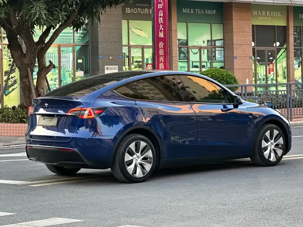 Tesla Model Y — фото 9