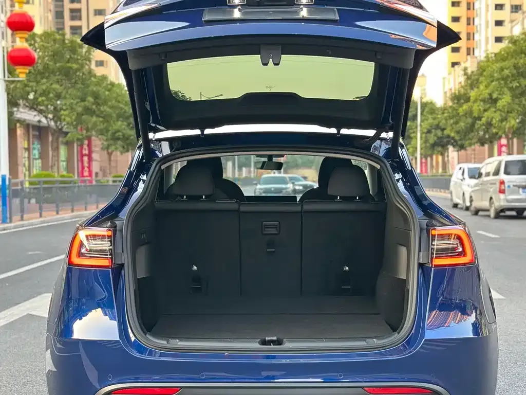 Tesla Model Y — фото 10
