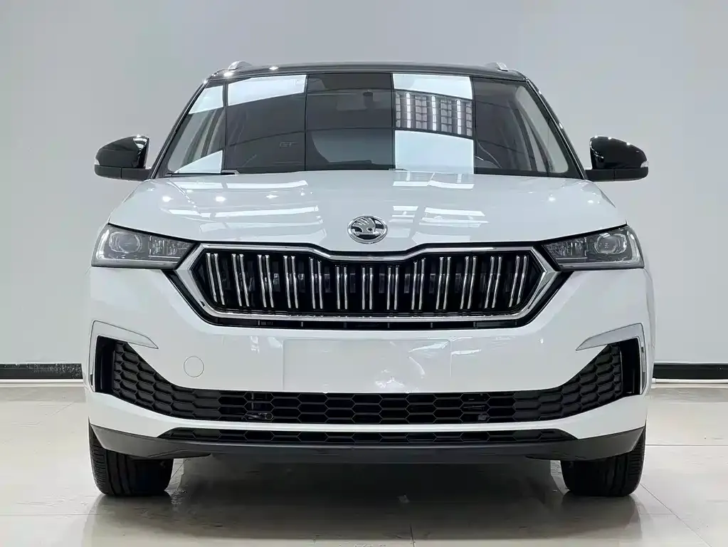Skoda Kamiq — фото 7
