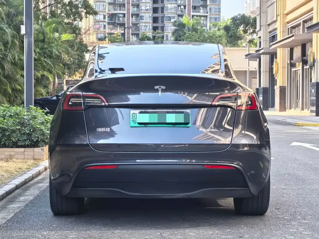 Tesla Model Y 2024 из CN, фото 6