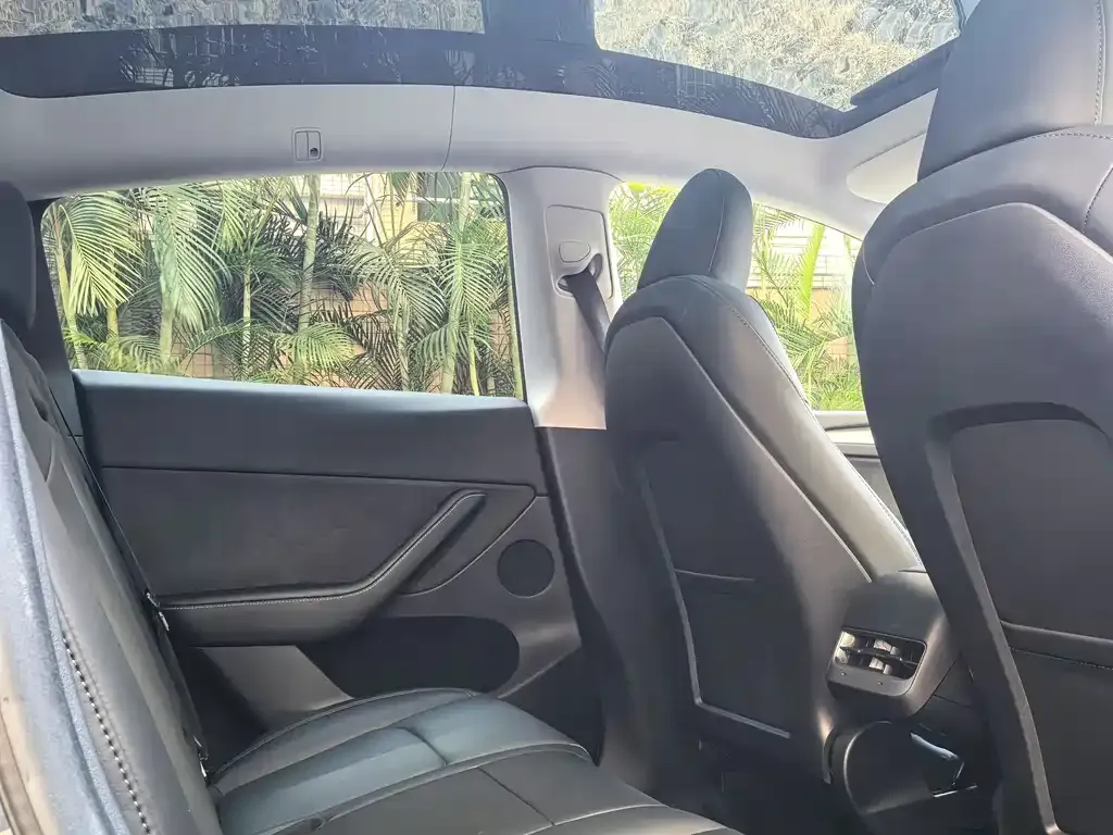 Tesla Model Y 2024 из CN, фото 4