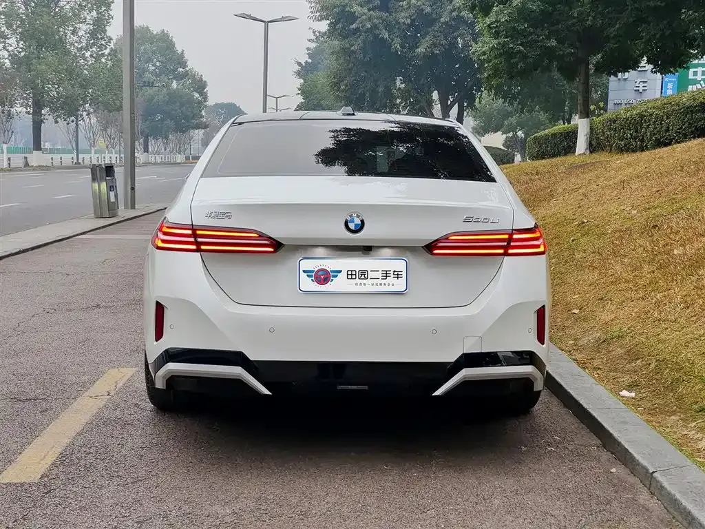 BMW 5 Series 2025 из CN, фото 9