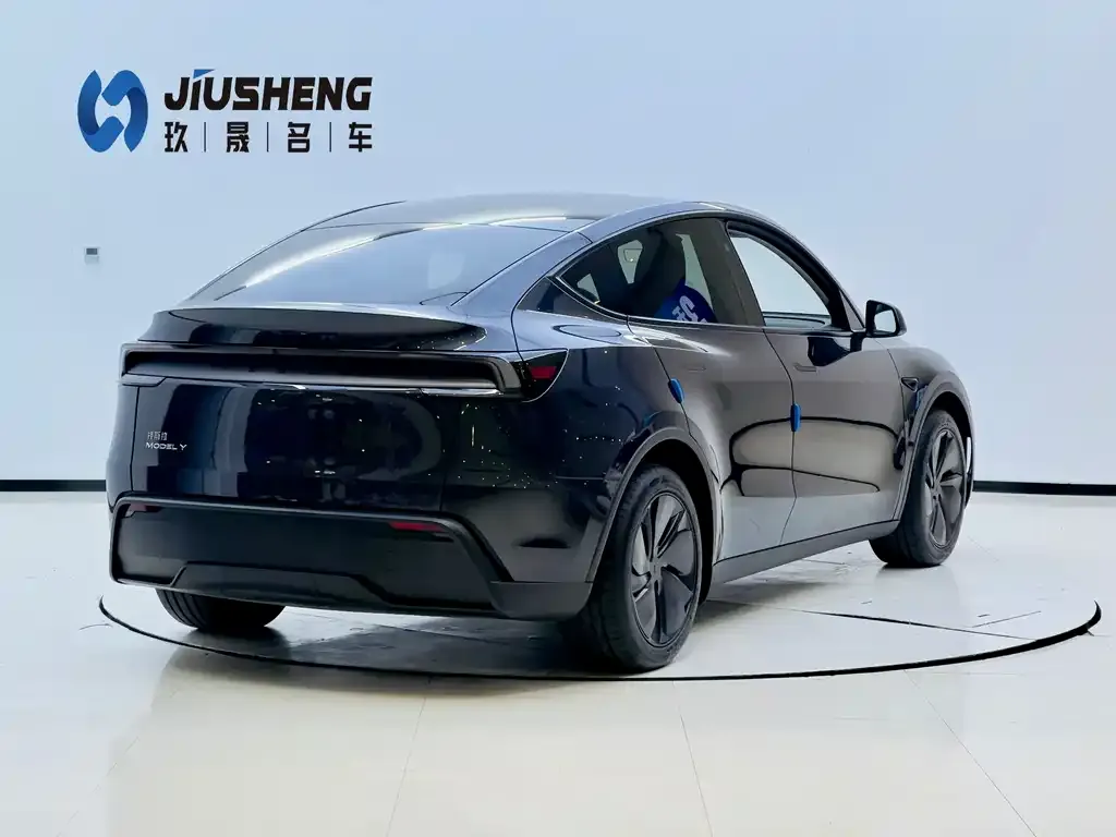 Tesla Model Y — фото 4