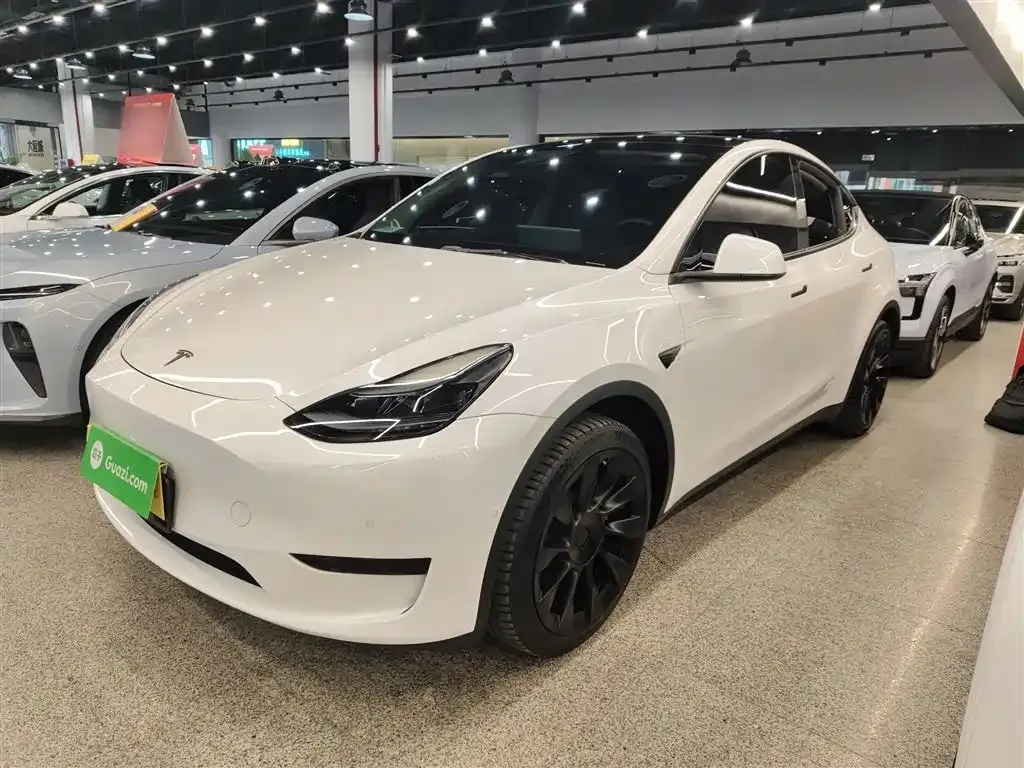 Tesla Model Y — фото 1