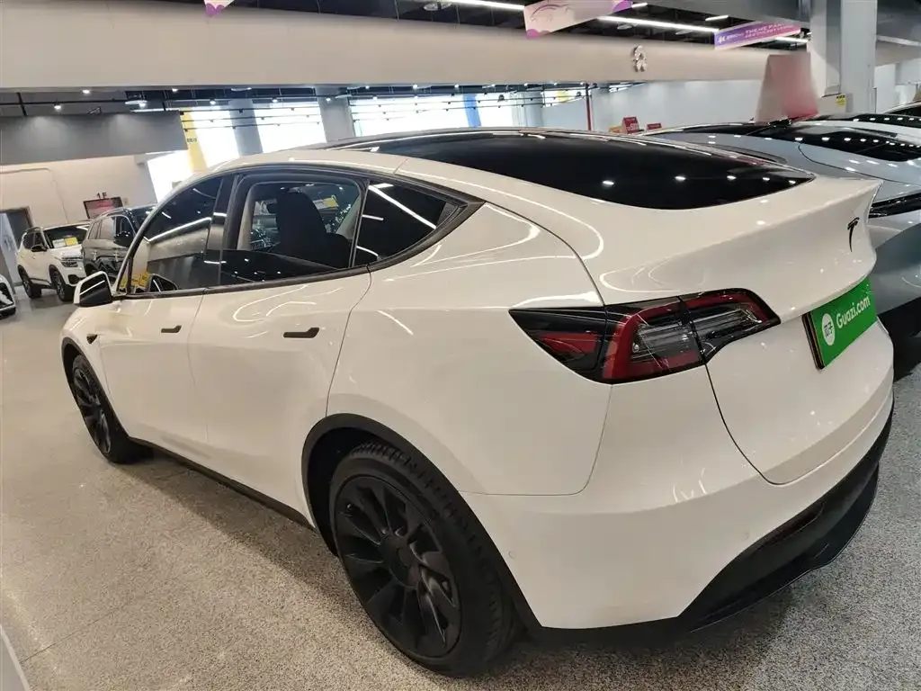 Tesla Model Y — фото 6