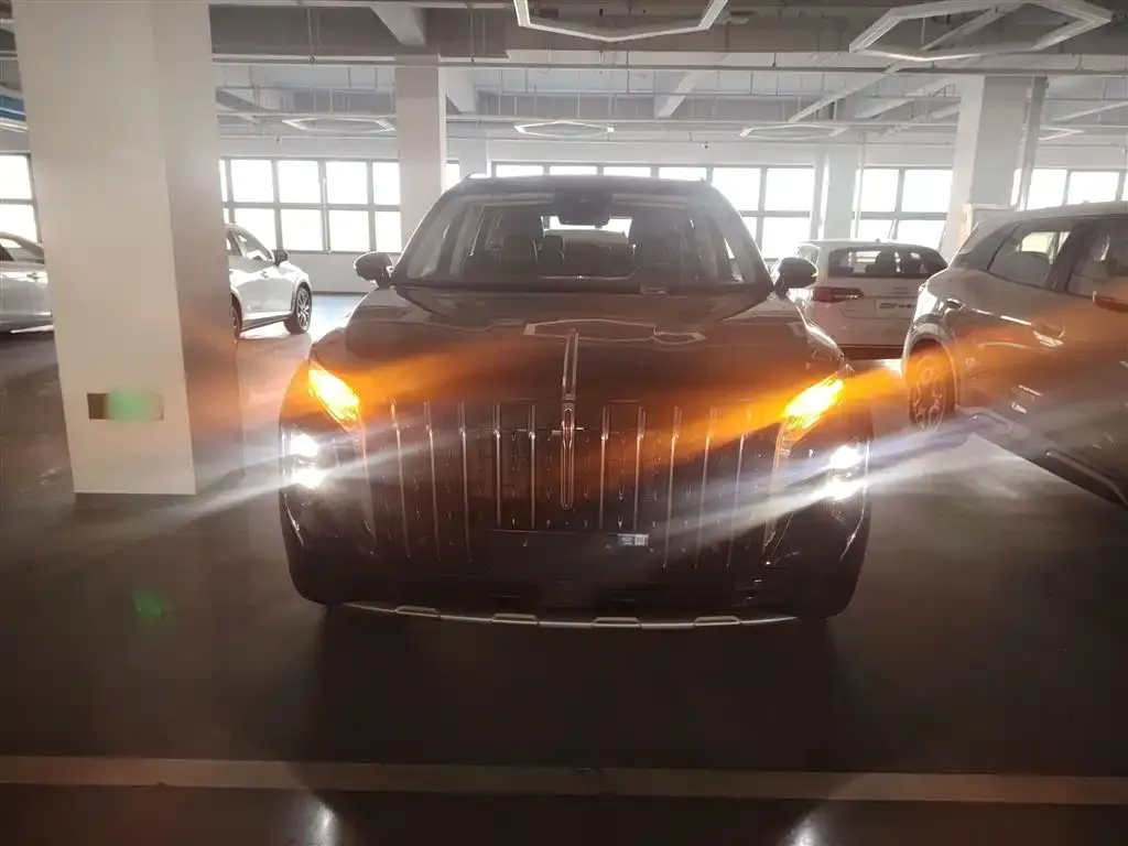 Hongqi HS7 PHEV 2024 из CN, фото 3