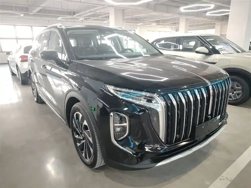 Hongqi HS7 PHEV 2024 из CN, фото 4