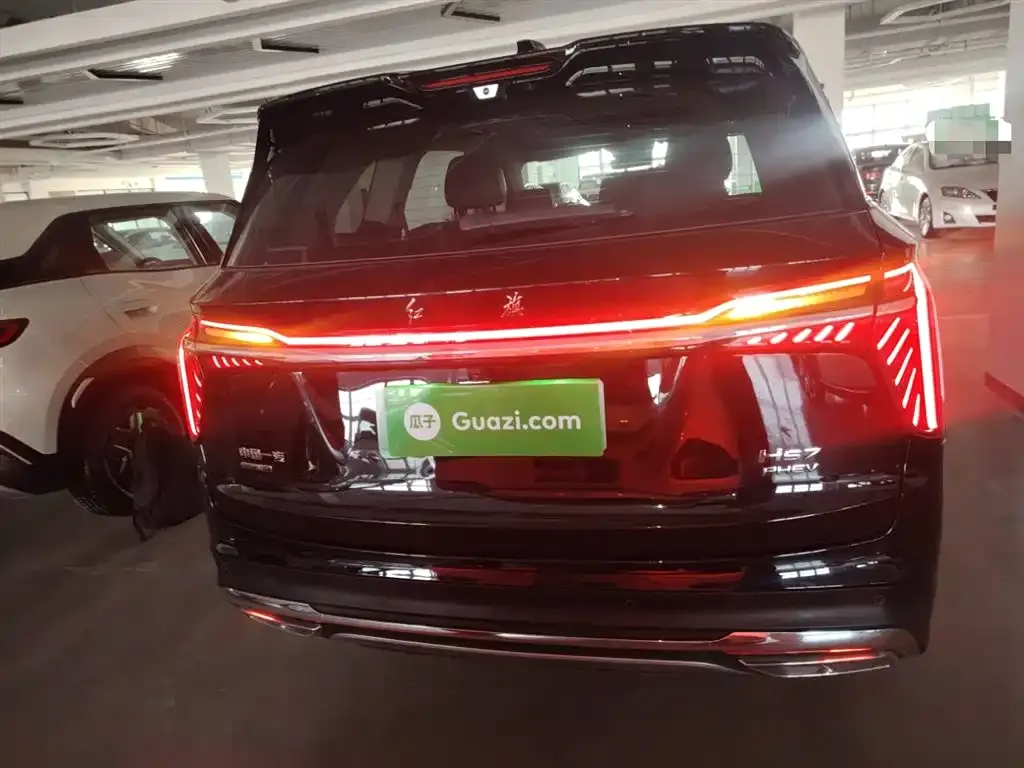 Hongqi HS7 PHEV 2024 из CN, фото 6