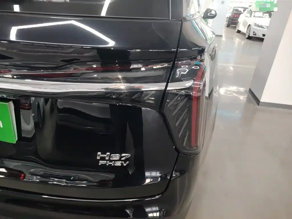 Hongqi HS7 PHEV 2024 из CN, фото 8