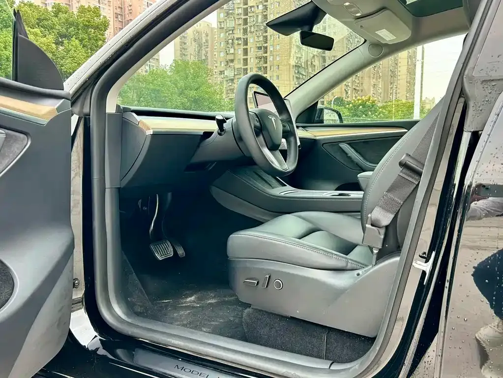 Tesla Model Y — фото 10
