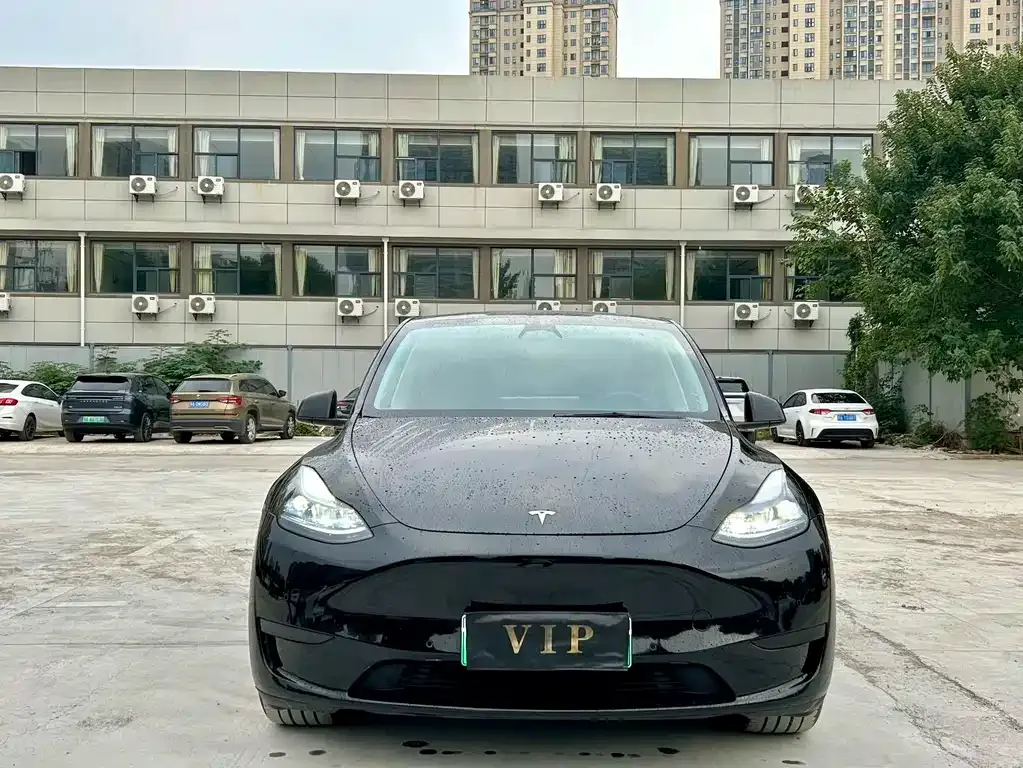 Tesla Model Y — фото 2