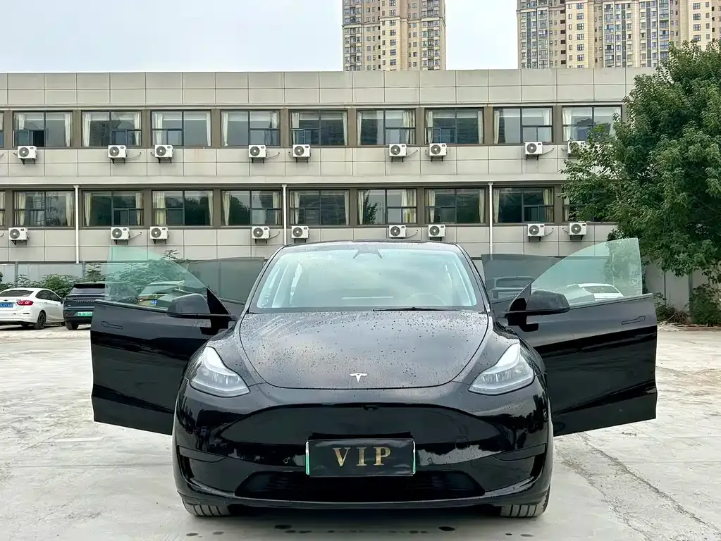 Tesla Model Y — фото 3