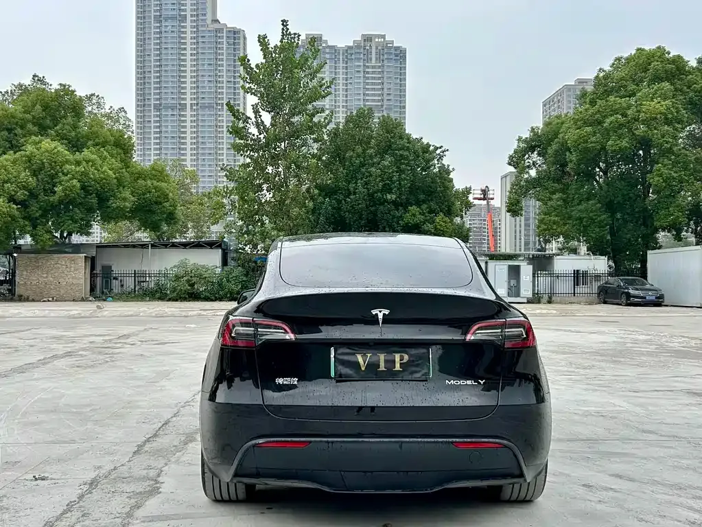 Tesla Model Y — фото 6