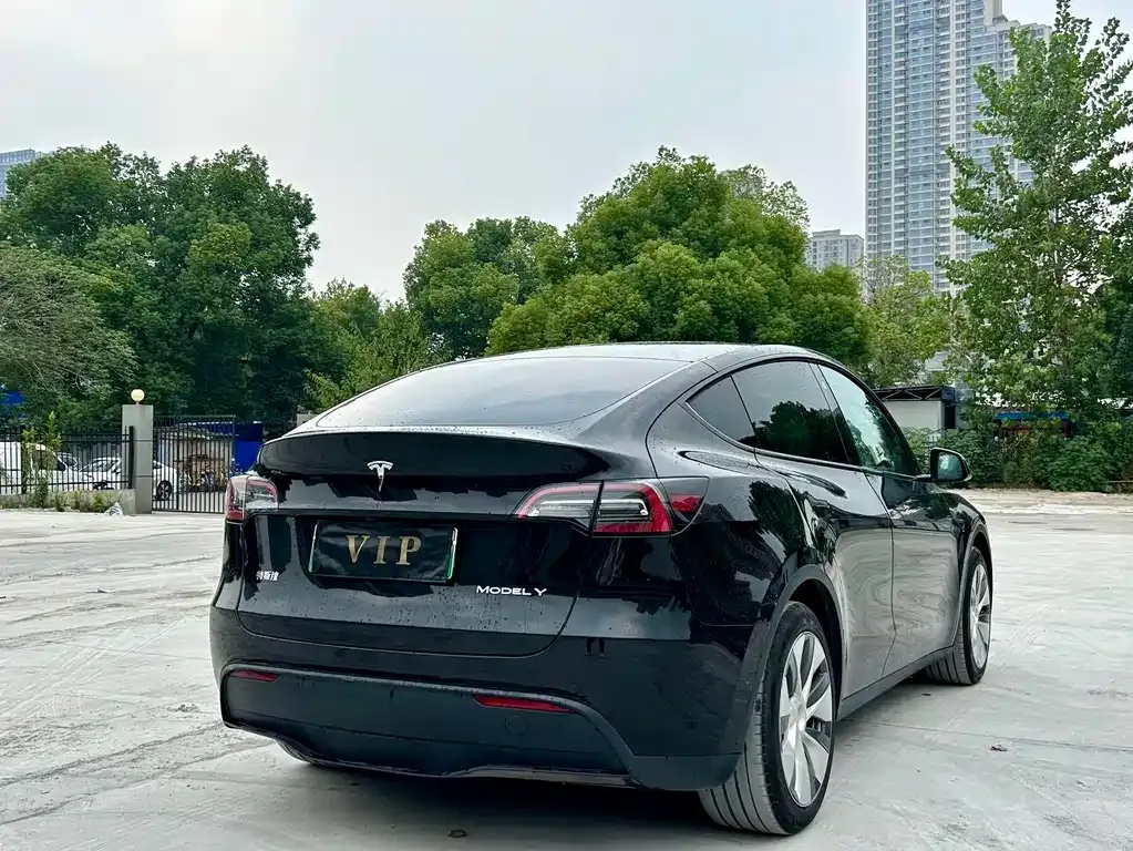 Tesla Model Y — фото 8