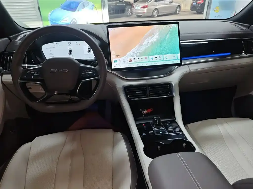 BYD PLUS New Energy 2025 из CN, фото 10