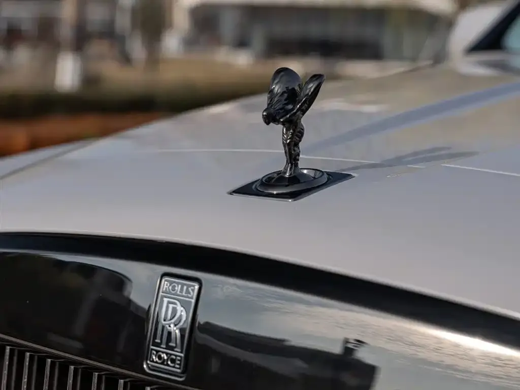 Rolls-Royce Cullinan 2022 из CN, фото 2